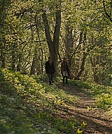 0250.jpg