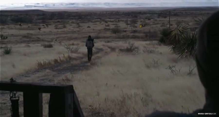 379.jpg