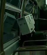 519.jpg