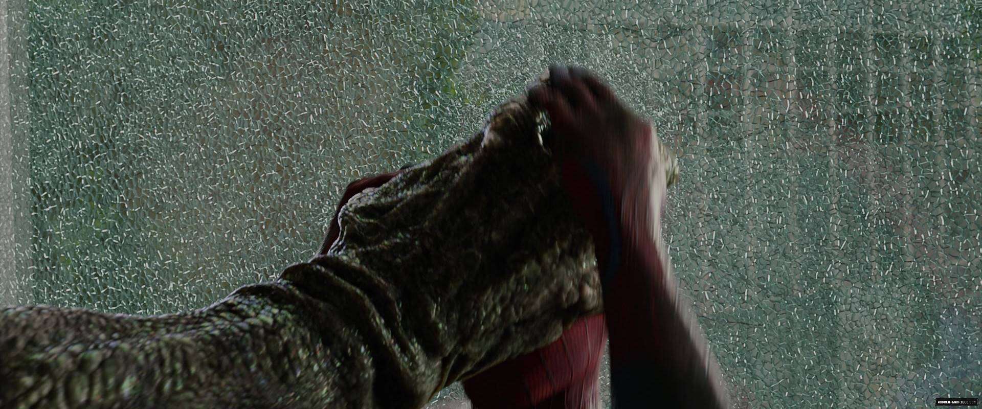 1271.jpg