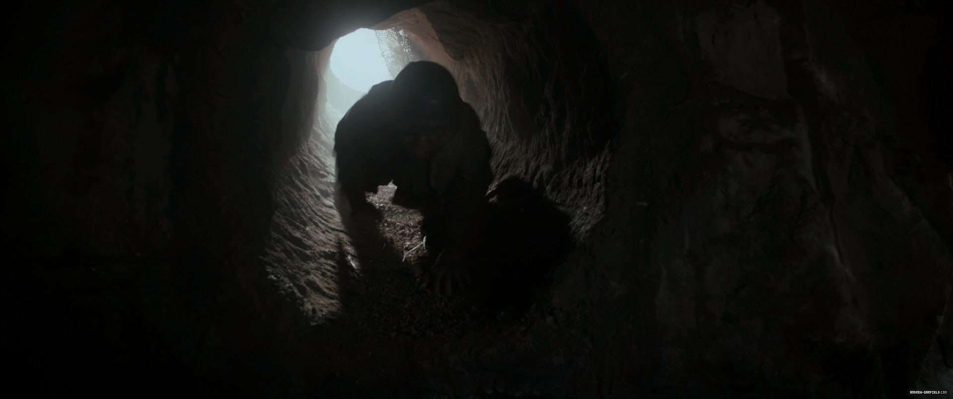 1156.jpg