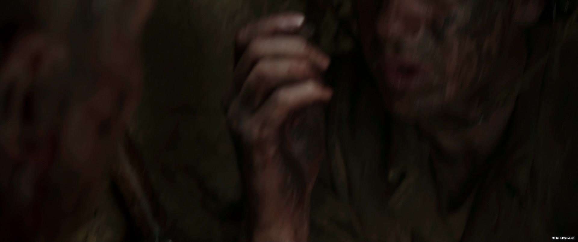 1181.jpg