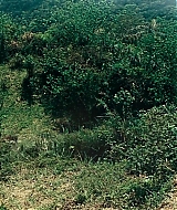 Filename=0846.jpg
Filesize=520KiB
Dimensions=1916x800
Date added=Mar 22, 2022 0846.jpg