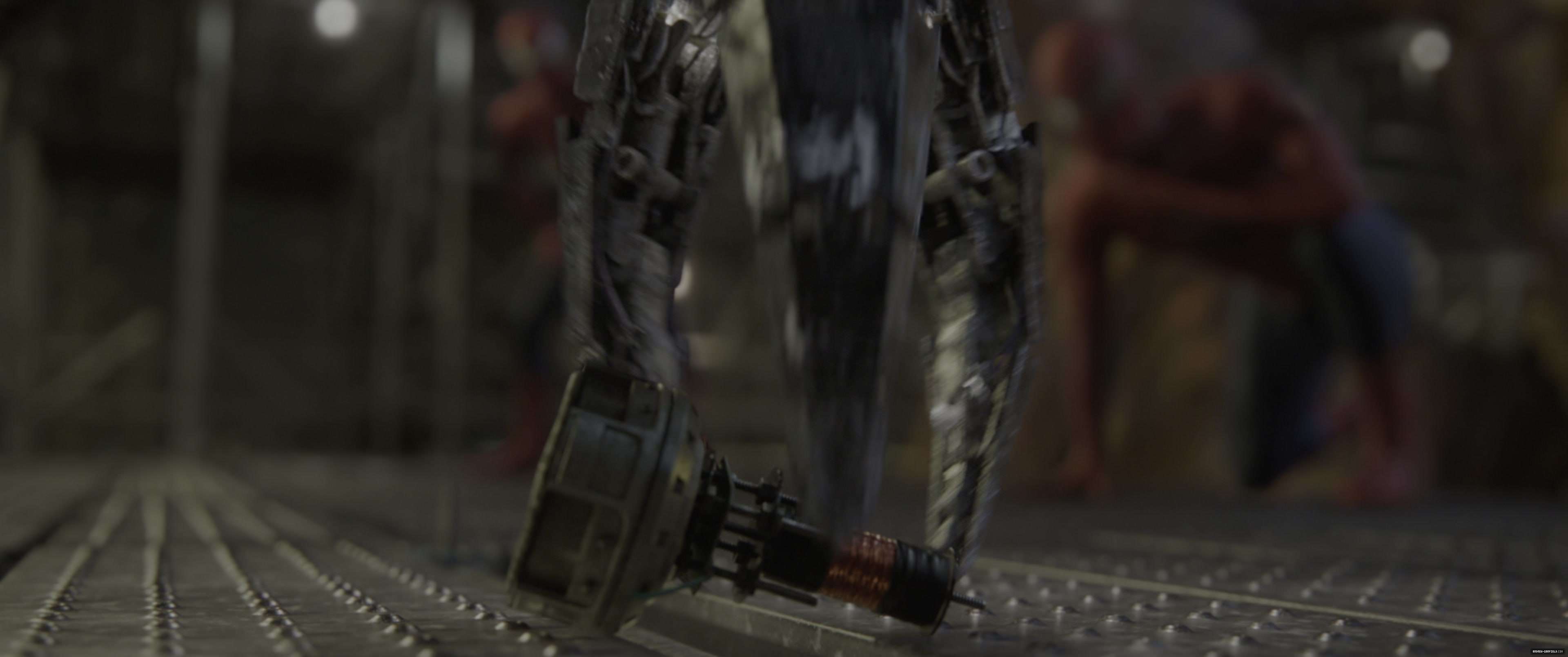 453.jpg