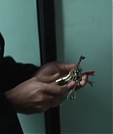 2591.jpg