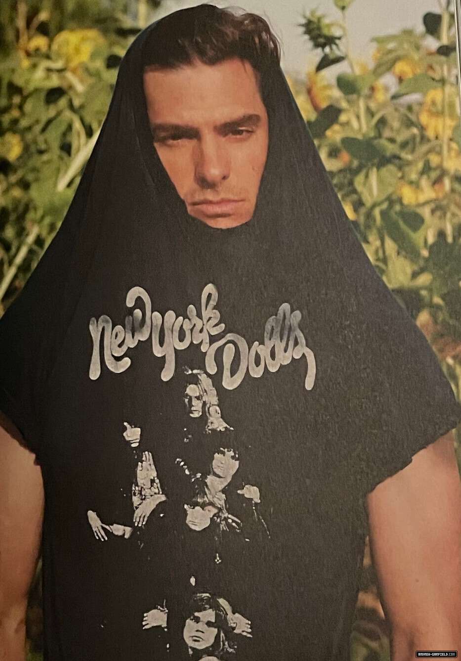 33.jpg