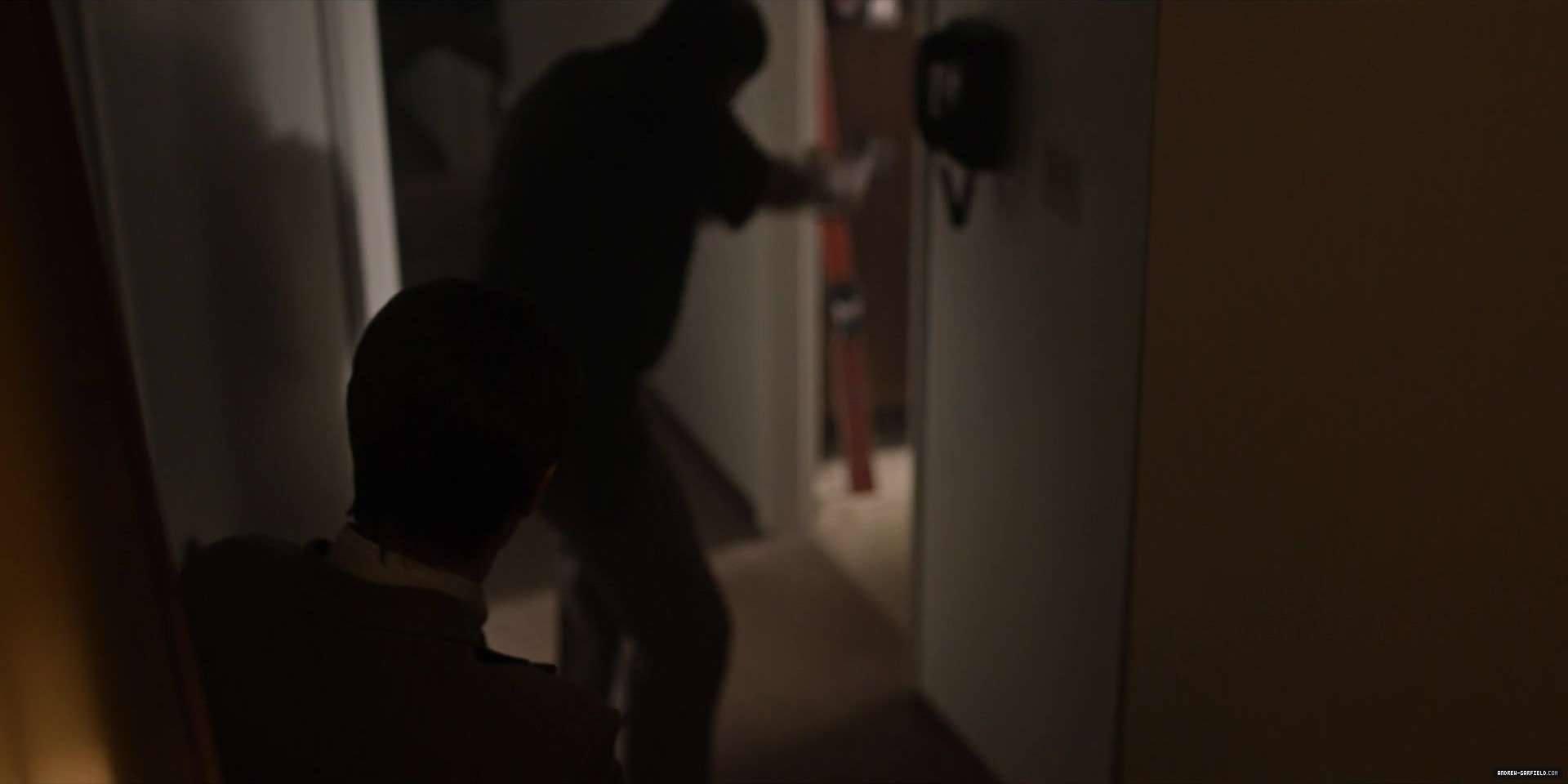 7139.jpg