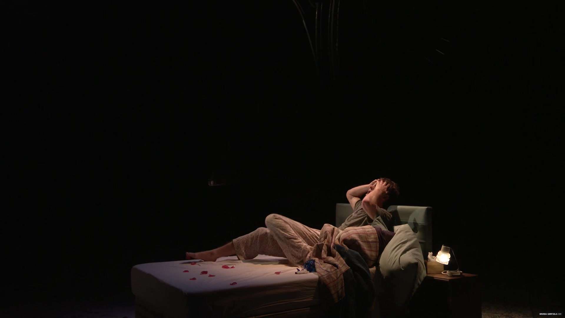 2786.jpg