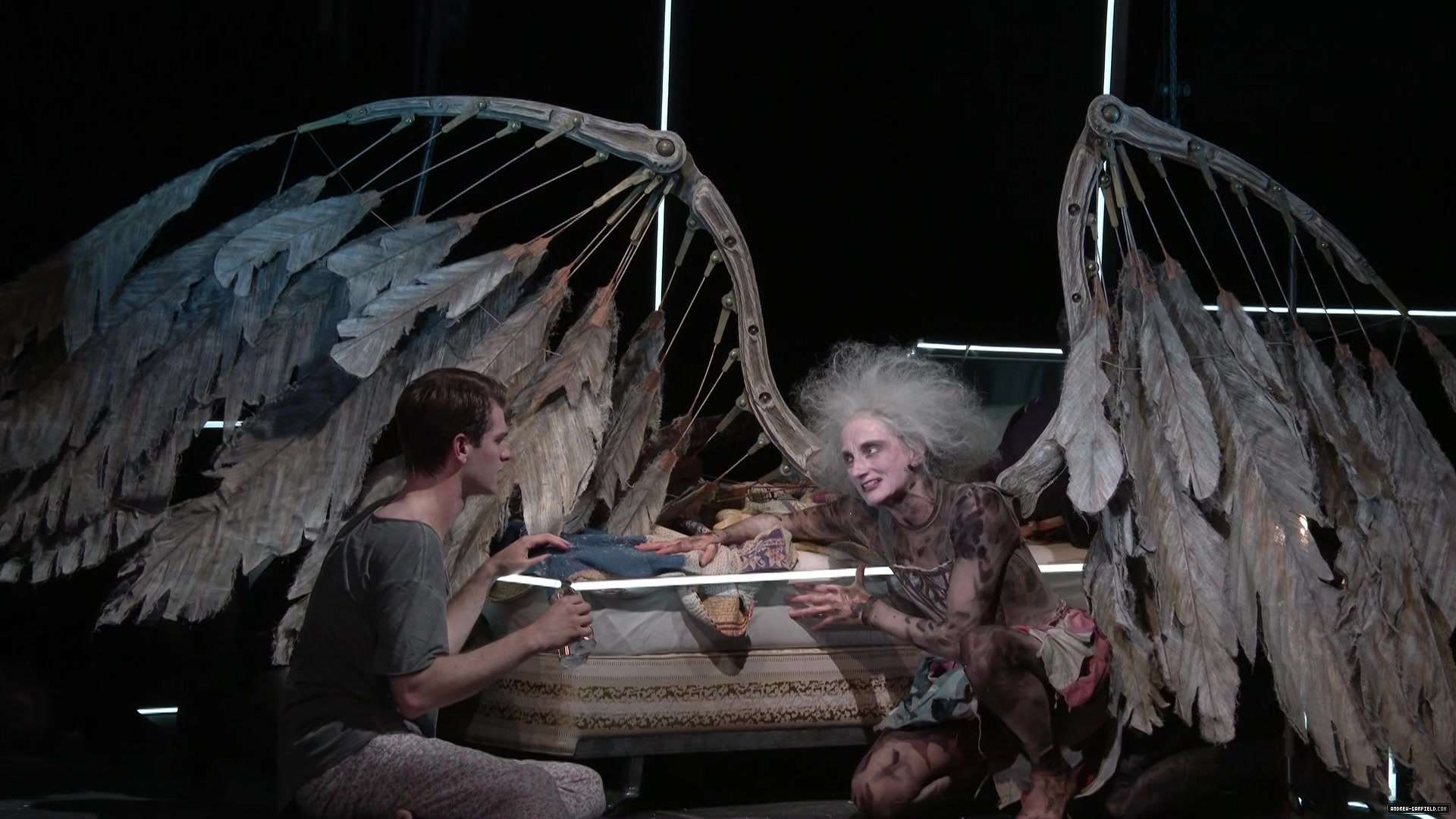 1095.jpg